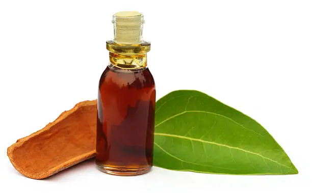 Cinnamon Leaf Oil 10ml