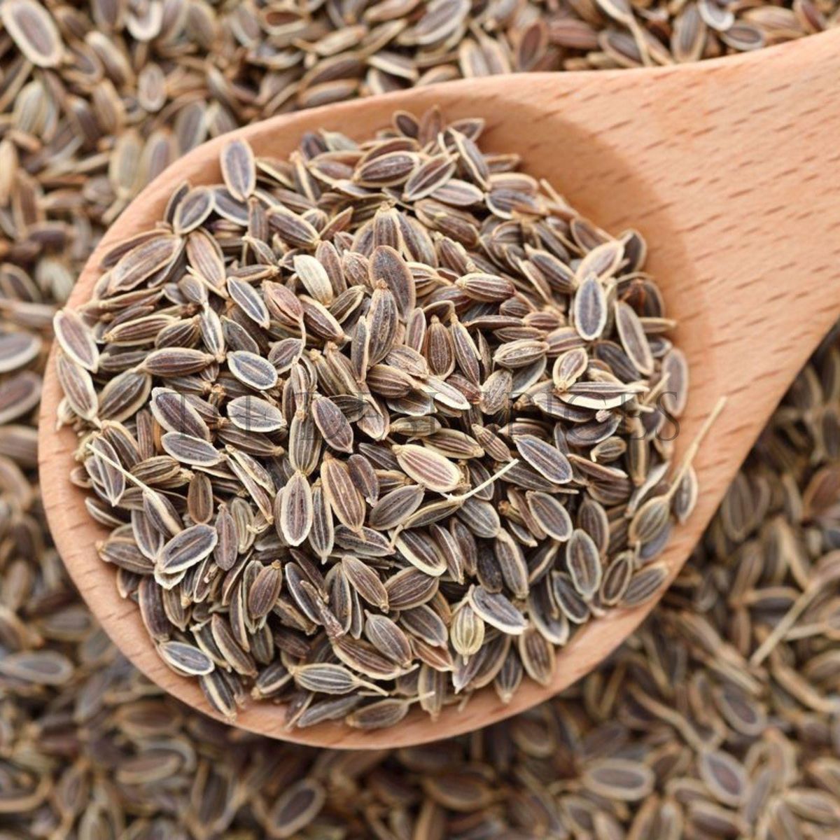Dill Seed
